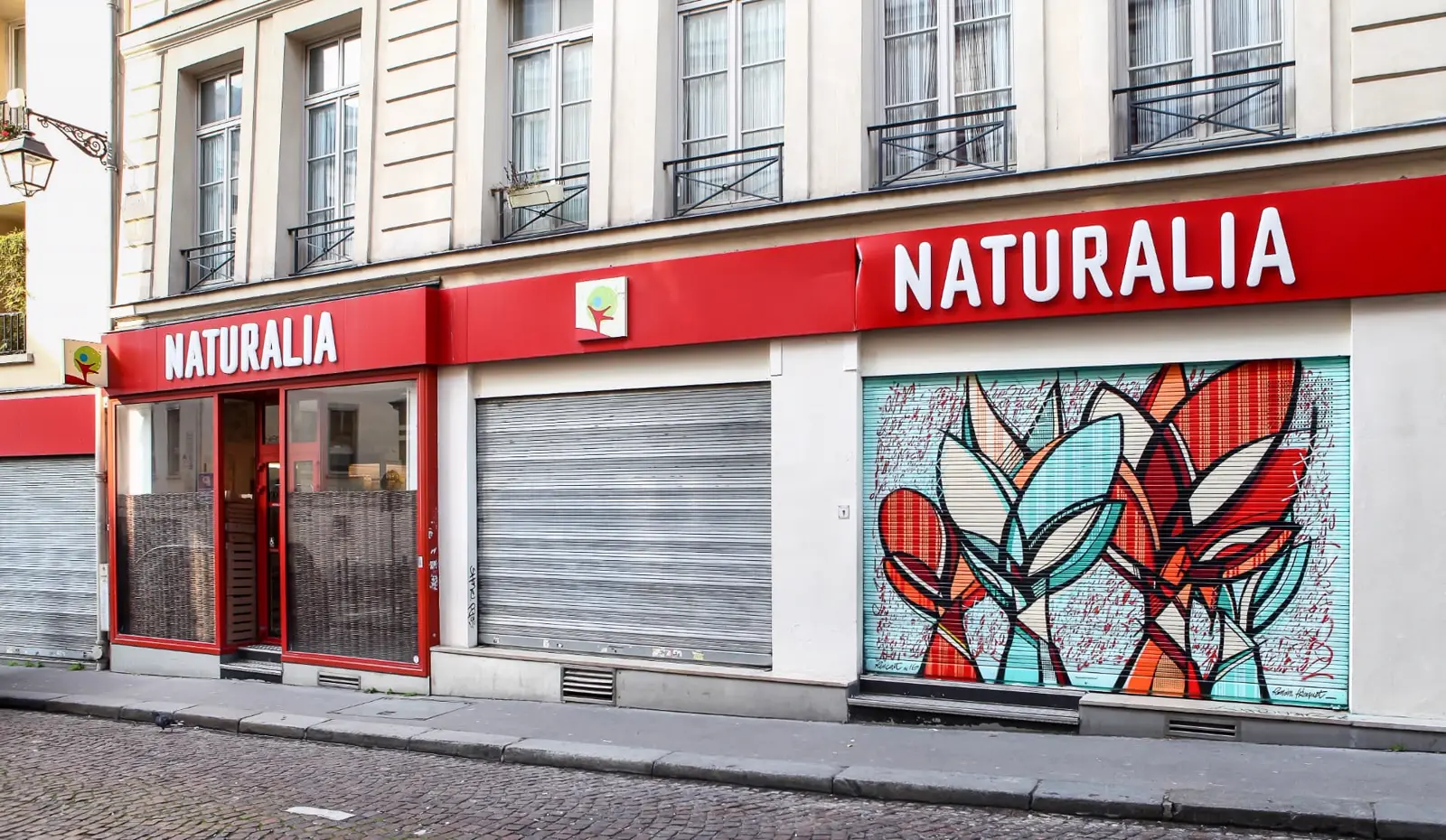 Devanture Naturalia peinte par le street artiste Romain Froquet — rue Mouffetard, Paris