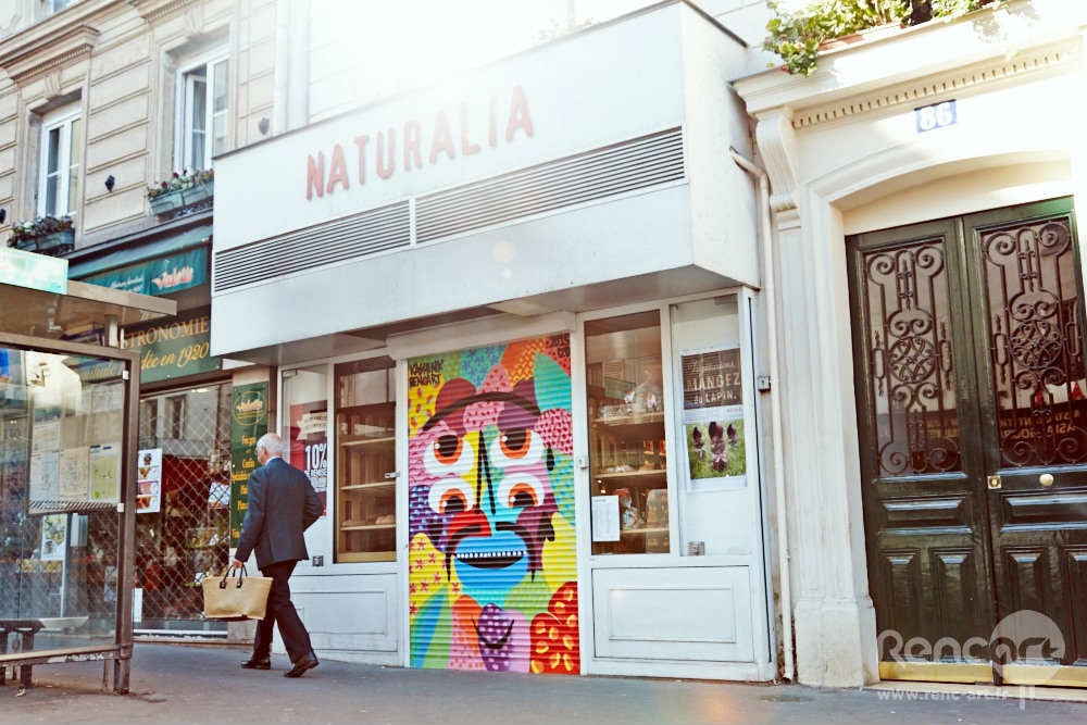 Fresque pérenne street art dans des bureaux d'entreprise