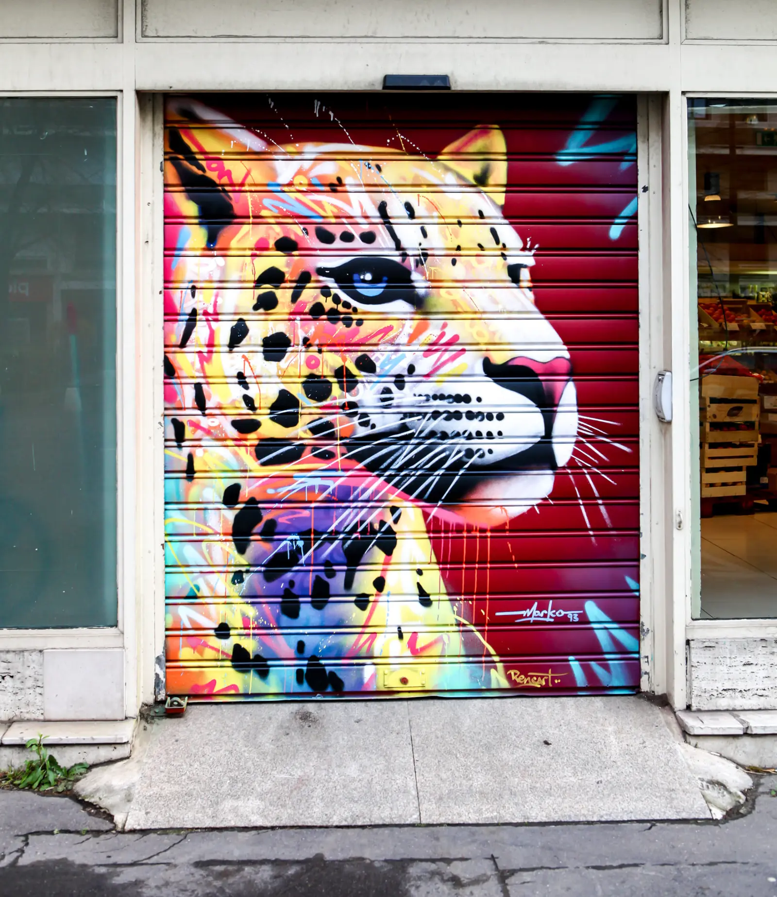 Rideau de fer Naturalia peint d'un léopard multicolore par l'artiste Marko — rue Lecourbe, Paris